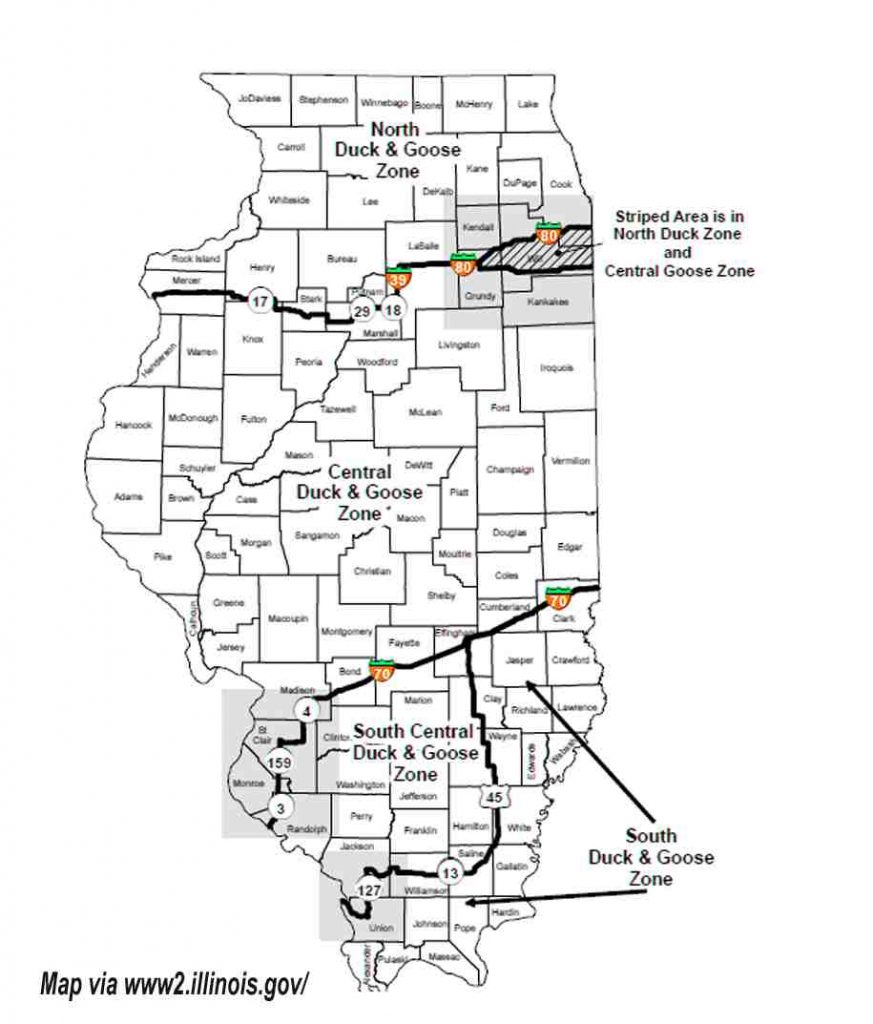 Goose Season Illinois 20232024 [New Schedule!]