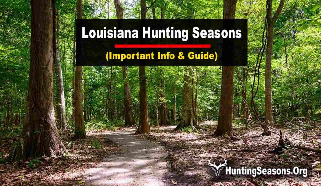 Louisiana Hunting Season