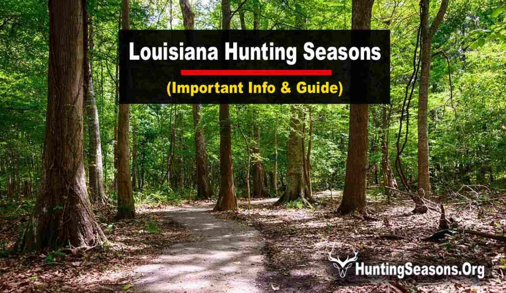 Louisiana Hunting Seasons 20232024 [Updated Schedule] HuntingSeasons