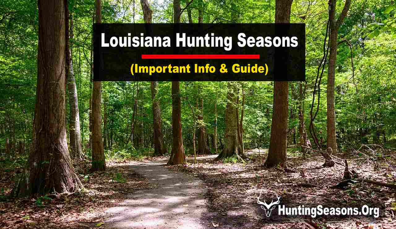 Louisiana Hunting Seasons 20232024 New Regulations & Schedule Changes
