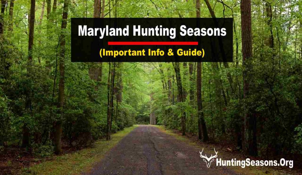 Maryland Hunting Season