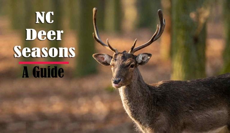 deer-season-nc-2023-2024-new-regulations-dates