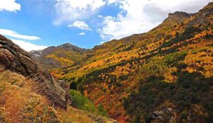 Nevada Hunting Seasons