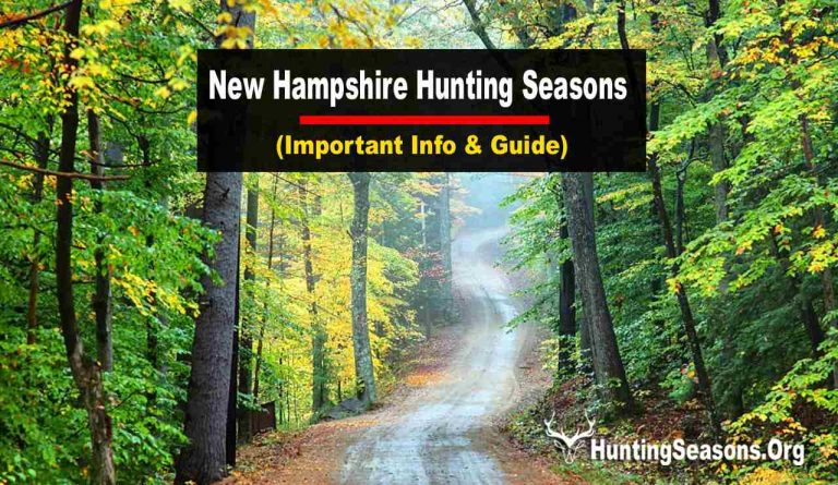 2024 New Hampshire Hunting: New Dates, Bag & Zones!