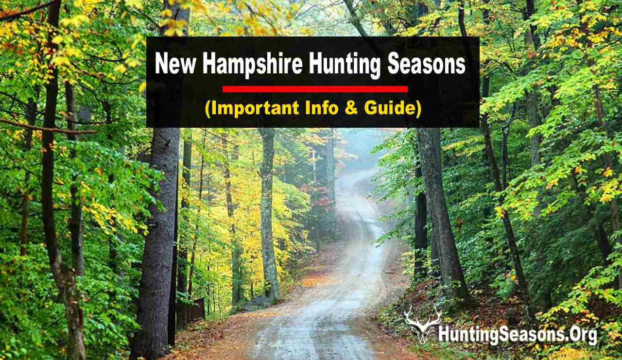 New Hampshire Hunting Seasons 20232024 🦌[Updated Schedule] Ultimate
