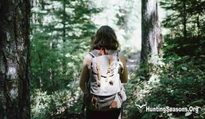 New Hampshire Hunting Seasons