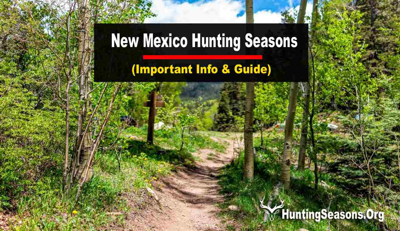 New Mexico Hunting Seasons 20232024 New Dates & Regulations