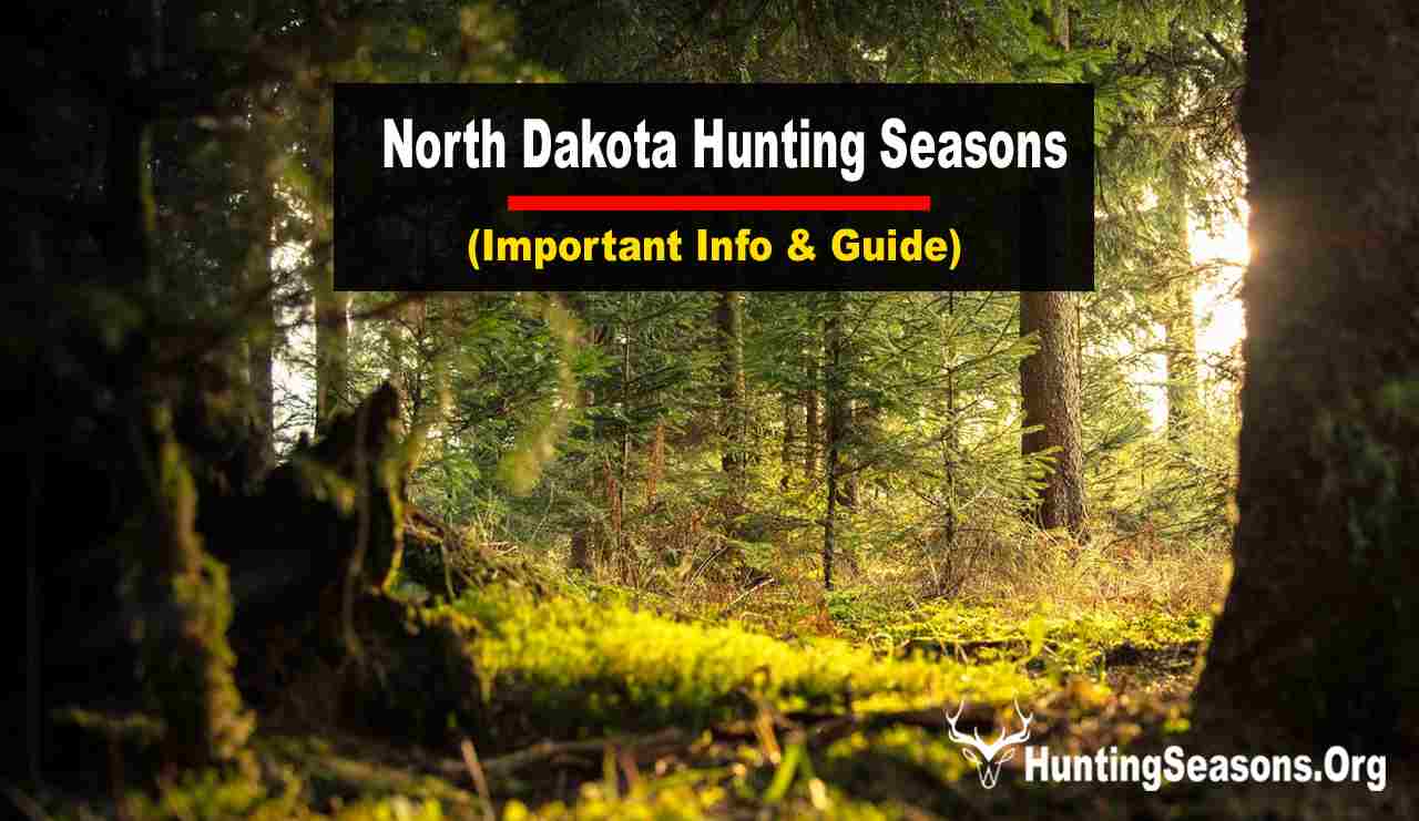20232024 North Dakota Hunting Seasons [New Update!]