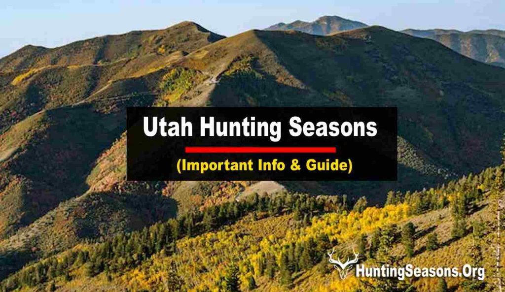 Utah Hunting Season