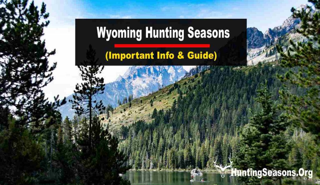 Wyoming Hunting Season