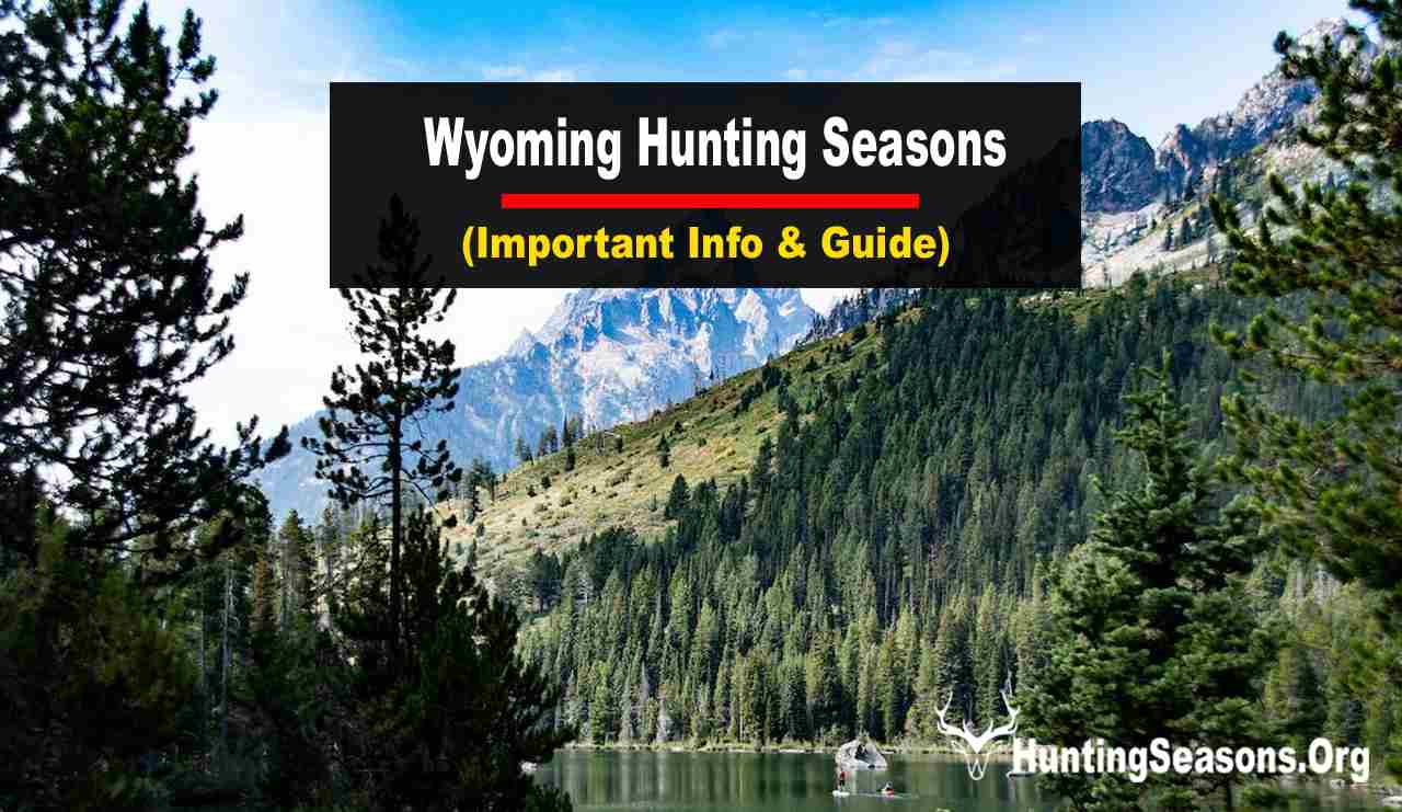 Wyoming Hunting Seasons 20232024 New Dates & Laws