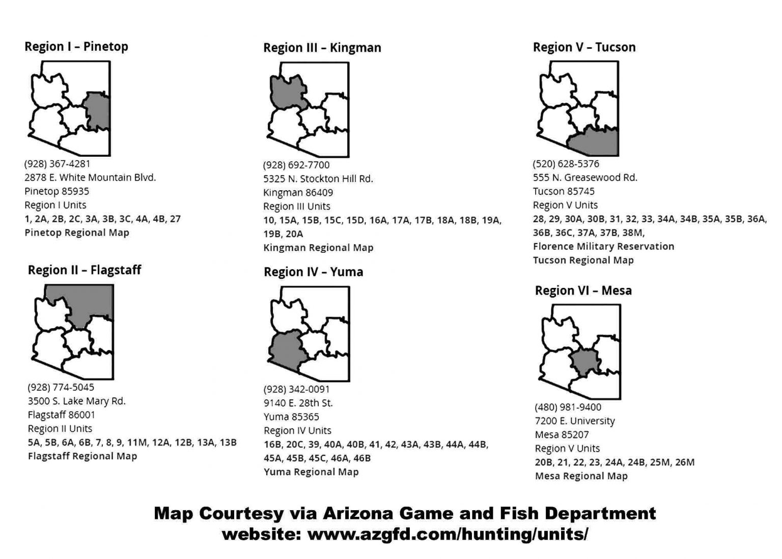 Quail Season AZ 20232024 🐦[All You Need to Know about Arizona Quail