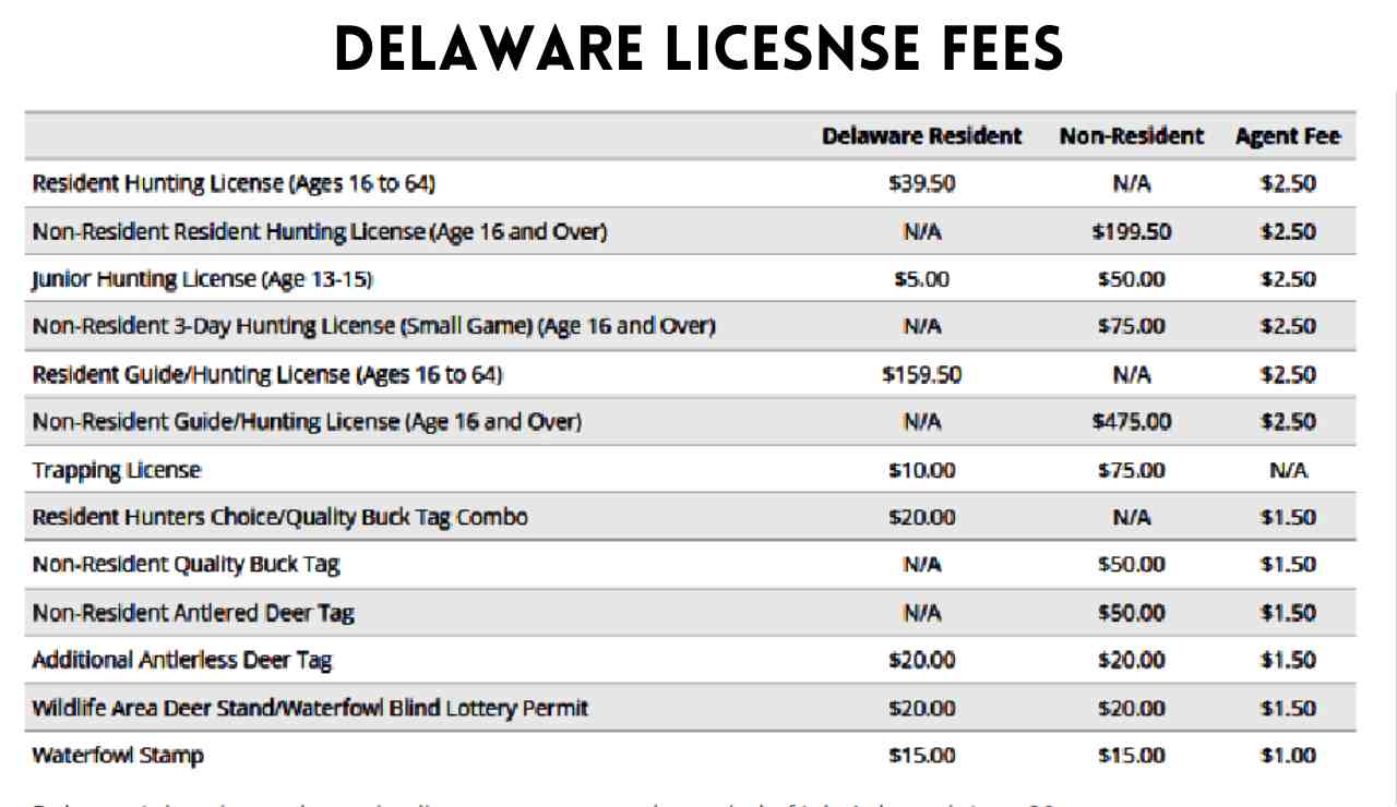 Delaware Deer Hunting Season 20232024 Ultimate Guide to Maximize Your