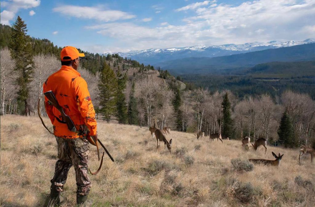 MT Deer hunting season
