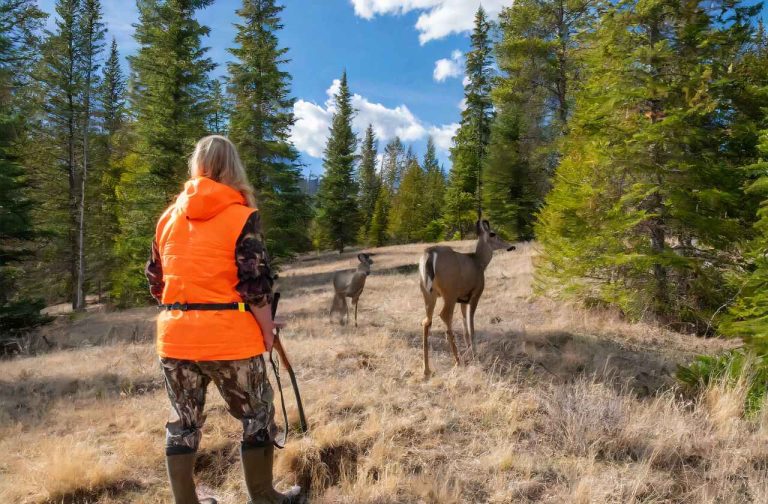 Montana Hunting Season