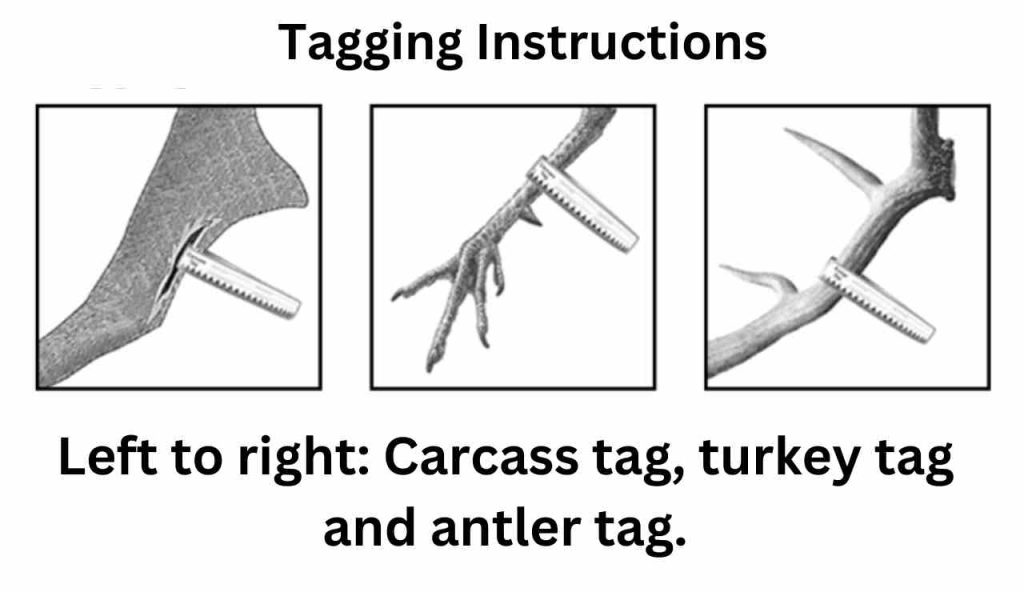 Tagging Instructions New Mexico Elk and deer