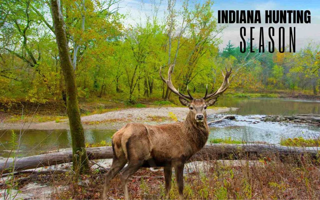 Indiana Hunting Season