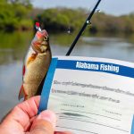 Alabama Fishing Licenses